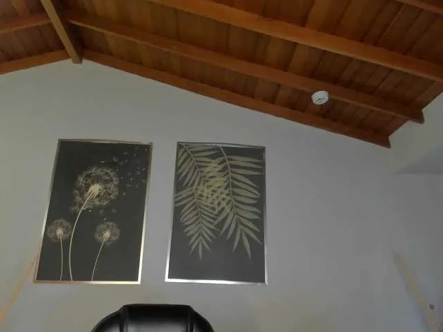 Freechat CelesteMoon on BongaCams