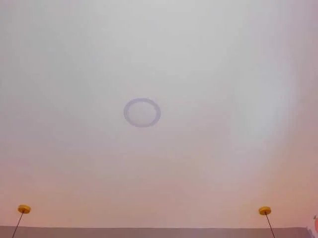 Freechat kitty-sweeety on BongaCams