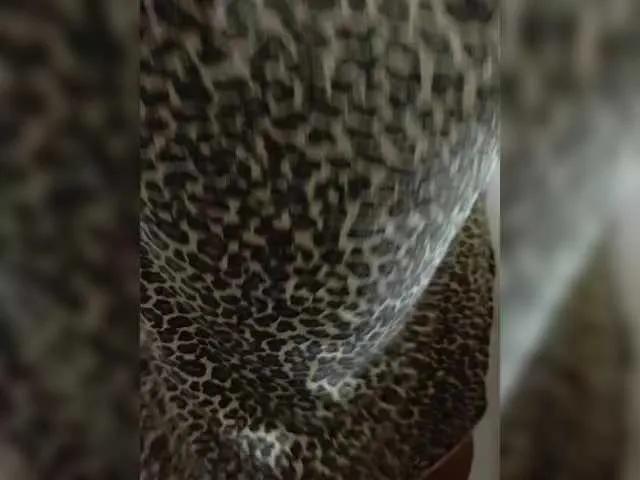 Freechat Laskikakvskaz on BongaCams