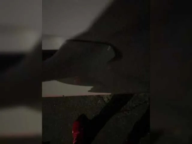 Freechat YuGoVi on BongaCams