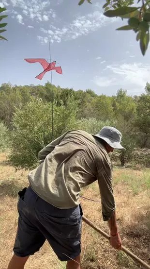 Offline Gabr1996 on Cam4