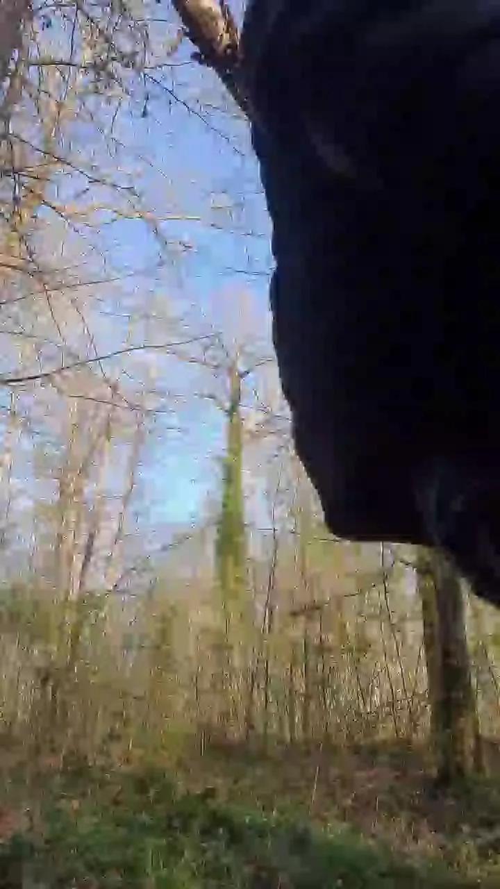 mika102402 on Cam4 
