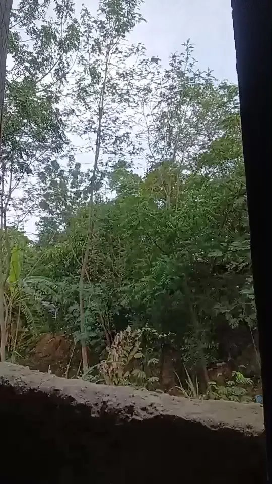 Offline Richard_2 on Cam4