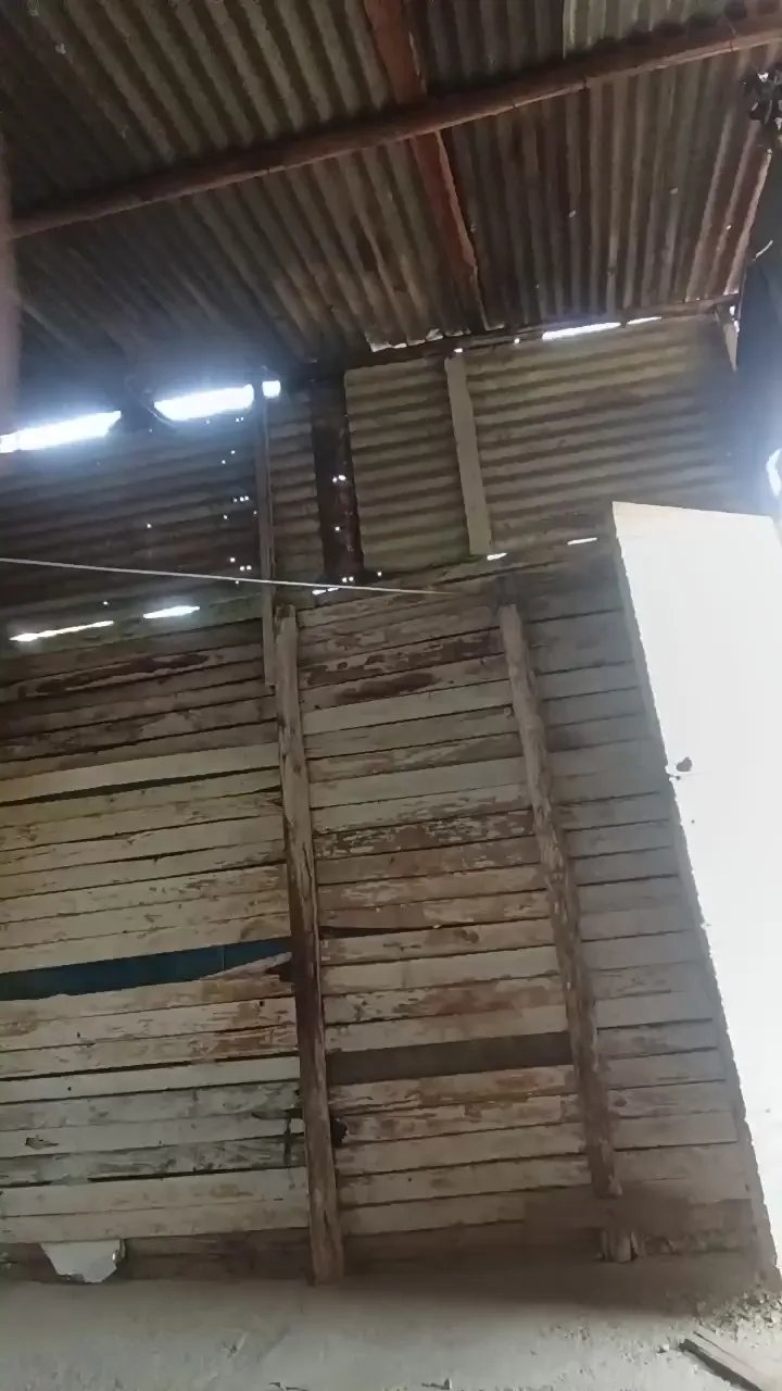 Offline Richard_2 on Cam4