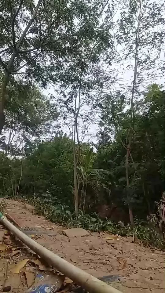 Offline Richard_2 on Cam4