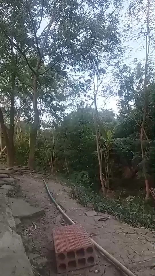 Offline Richard_2 on Cam4