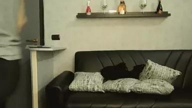 Segreto85 on Cam4 