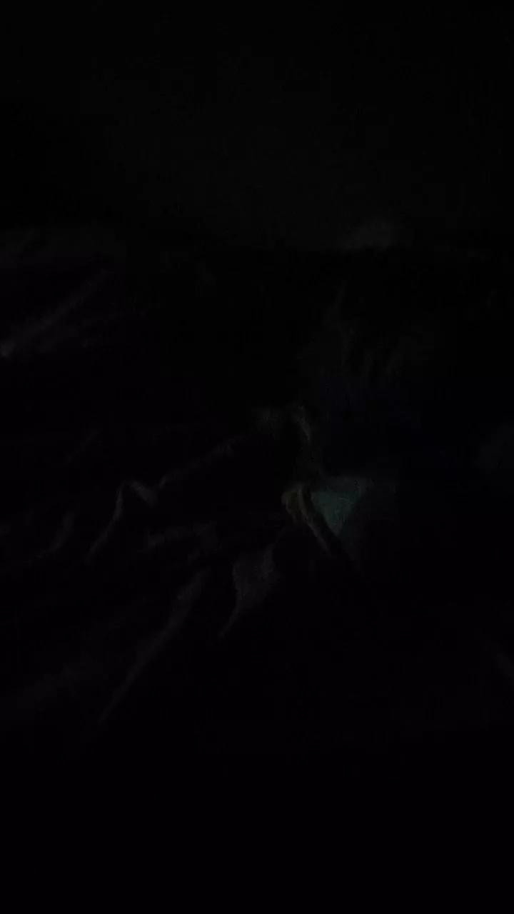 Tecojotodaa23 on Cam4 