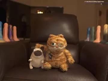 rndmzd on Chaturbate 