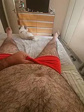 MysterBearMG on StripChat 