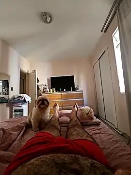 MysterBearMG on StripChat 